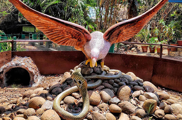 best tour operator Kerala