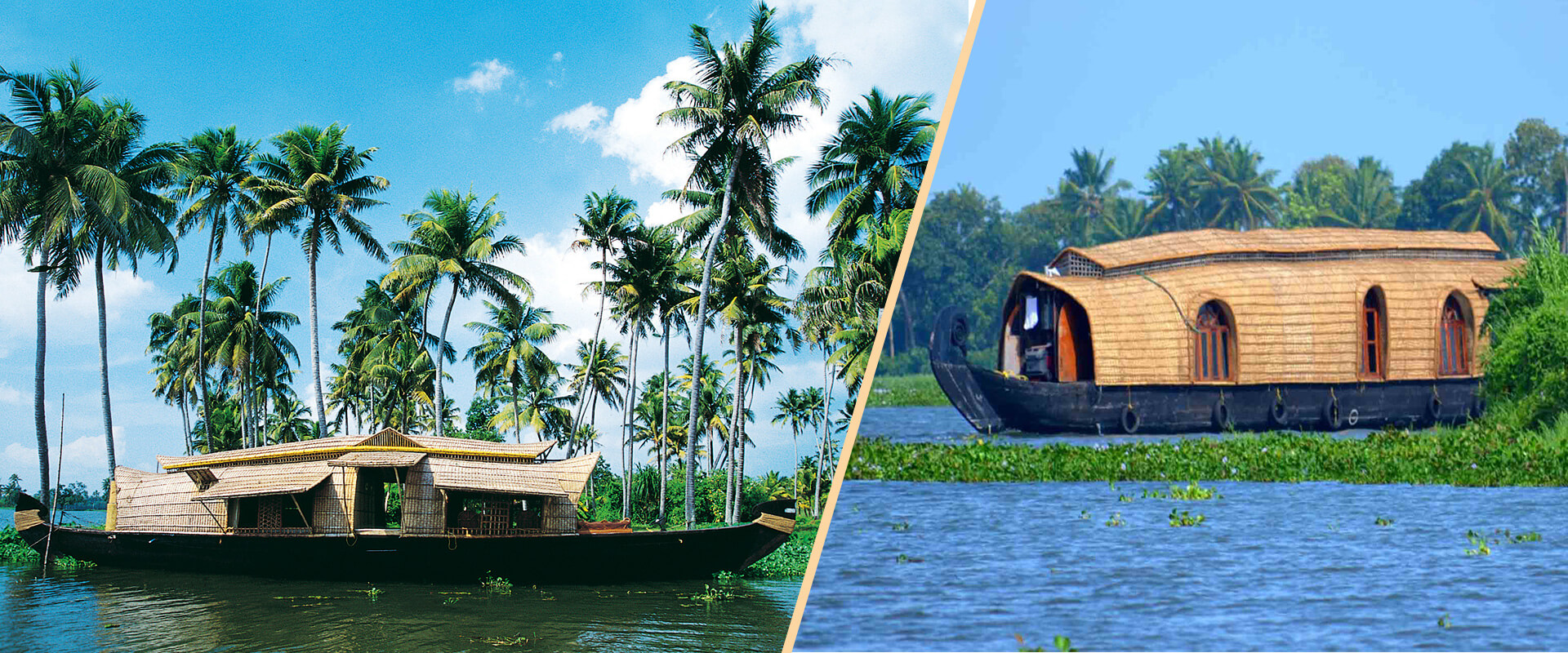 best tour operator Kerala