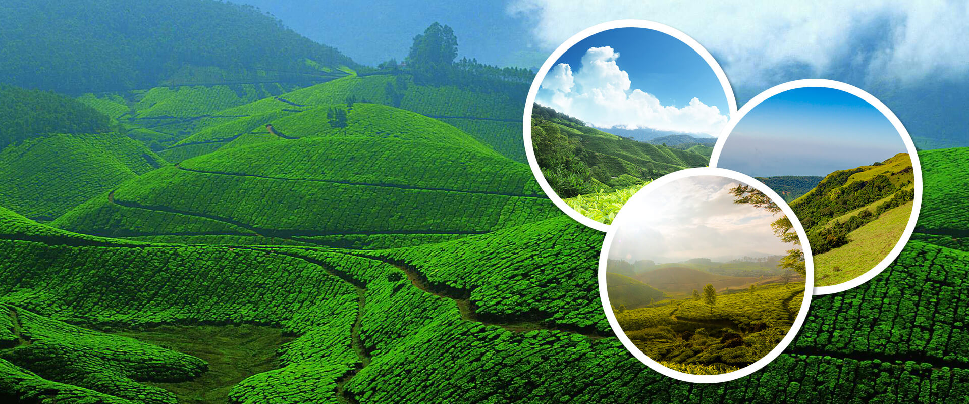 best tour operator Kerala